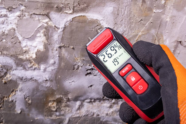 Best Crawl Space Mold Removal  in Marmora, NJ