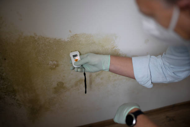 Best Residential Mold Removal  in Marmora, NJ