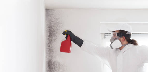 Best Fast Mold Removal  in Marmora, NJ